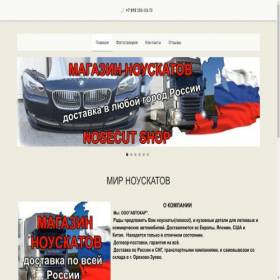 Скриншот главной страницы сайта nosecut-shop.ru