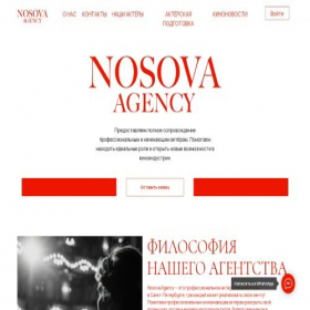 Скриншот главной страницы сайта nosova-agency.ru