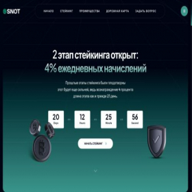 Скриншот главной страницы сайта not-coin.vip