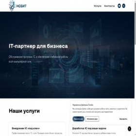 Скриншот главной страницы сайта nov-it.ru