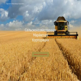 Скриншот главной страницы сайта novgorodgrain.ru