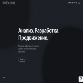 Скриншот главной страницы сайта novikov-consult.ru