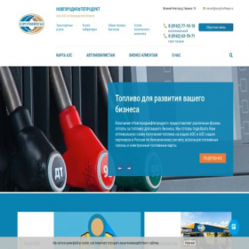 Скриншот главной страницы сайта novnp.ru