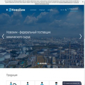 Скриншот главной страницы сайта novohim-group.ru