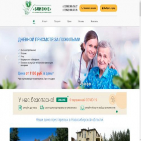 Скриншот главной страницы сайта novosibirsk-pansion.ru