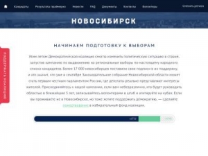 Скриншот главной страницы сайта novosibirsk.dem-coalition.org