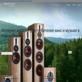 Скриншот главной страницы сайта novosibirsk.sound-systems.ru