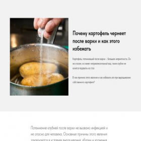 Скриншот главной страницы сайта novosti-ogorod.ru