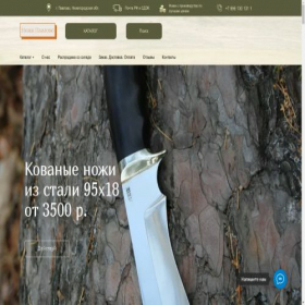 Скриншот главной страницы сайта nozhi.online