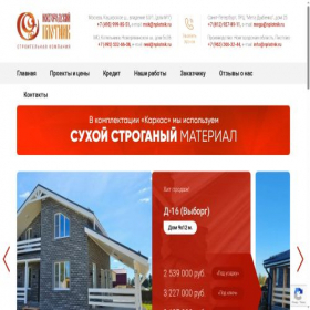Скриншот главной страницы сайта nplotnik.ru