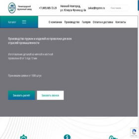 Скриншот главной страницы сайта npznn.ru