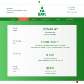 Скриншот главной страницы сайта nsk-elki-buy.ru