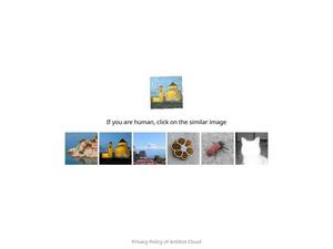 Скриншот главной страницы сайта nsk-multiservice.ru