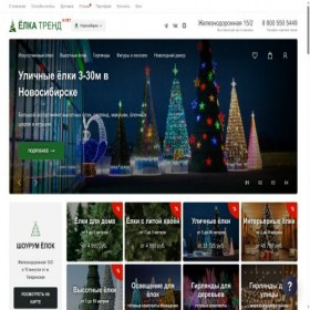 Скриншот главной страницы сайта nsk.elka.store