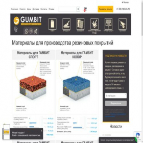 Скриншот главной страницы сайта nsk.gumbit.ru