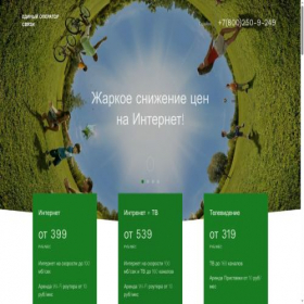 Скриншот главной страницы сайта nskinternet.ru