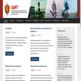 Скриншот главной страницы сайта nskveteran-gb.ru