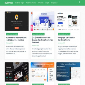 Скриншот главной страницы сайта nullfresh.com