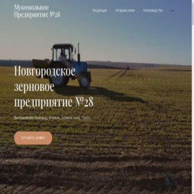 Скриншот главной страницы сайта nzp28.ru