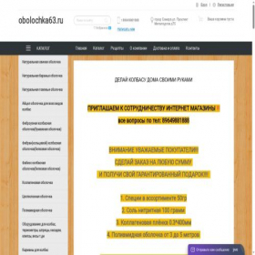 Скриншот главной страницы сайта obolochka63.ru