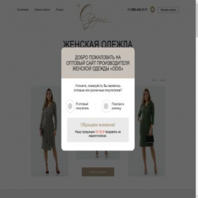 Скриншот главной страницы сайта odis.promo3000.ru