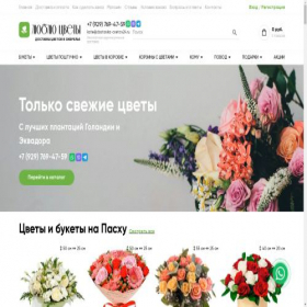 Скриншот главной страницы сайта ogerele.dostavka-cvetov24.ru