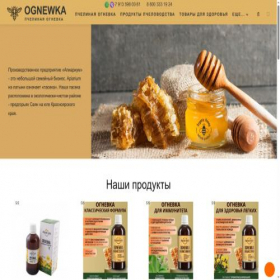Скриншот главной страницы сайта ognewka.ru