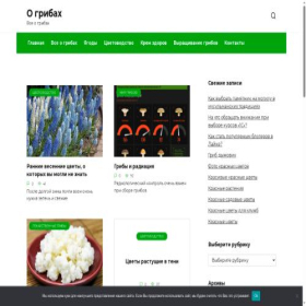 Скриншот главной страницы сайта ogribax.ru