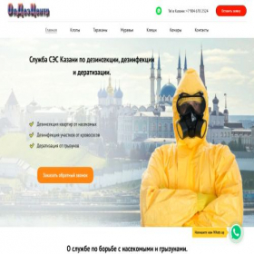 Скриншот главной страницы сайта oldezcentr.ru