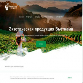 Скриншот главной страницы сайта olmish.ru