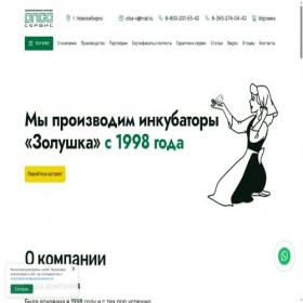 Скриншот главной страницы сайта olsa-s.ru