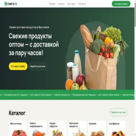 Скриншот главной страницы сайта omega-plus.tilda.ws