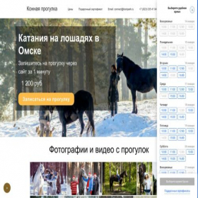 Скриншот главной страницы сайта omsk.konipark.ru