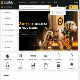 Скриншот главной страницы сайта omsk.sibdroid.ru