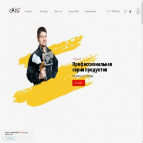 Скриншот главной страницы сайта onbmaster.ru