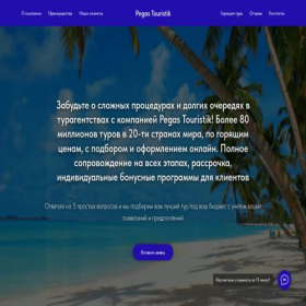 Скриншот главной страницы сайта online-tyr-zakaz.ru