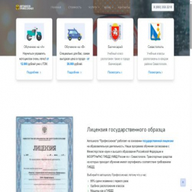 Скриншот главной страницы сайта ooo-professional.ru