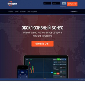 Скриншот главной страницы сайта openoption.pro