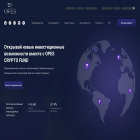 Скриншот главной страницы сайта opes-holding.org