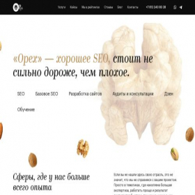 Скриншот главной страницы сайта opexu.com