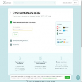 Скриншот главной страницы сайта oplatasvyazi52.online