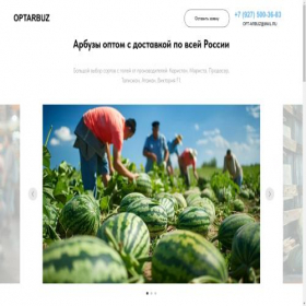 Скриншот главной страницы сайта optarbuz.ru