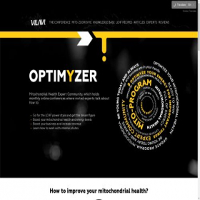 Скриншот главной страницы сайта optimyzer.pro