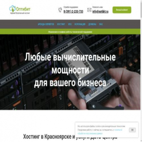 Скриншот главной страницы сайта optizone.ru
