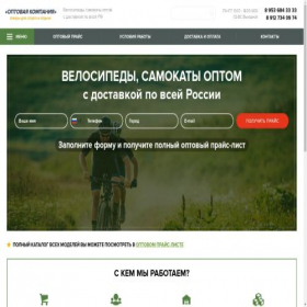 Скриншот главной страницы сайта optom-velo.ru