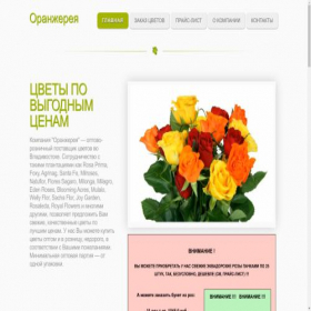 Скриншот главной страницы сайта orangeroses.ru