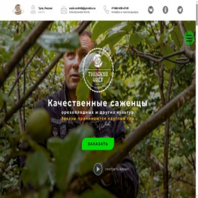 Скриншот главной страницы сайта oreh-tula.ru