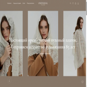 Скриншот главной страницы сайта orenshal.ru