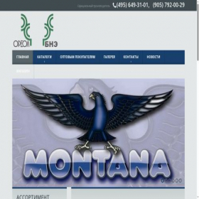 Скриншот главной страницы сайта oreol.com