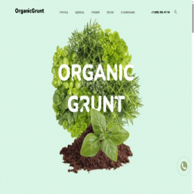Скриншот главной страницы сайта organicgrunt.ru